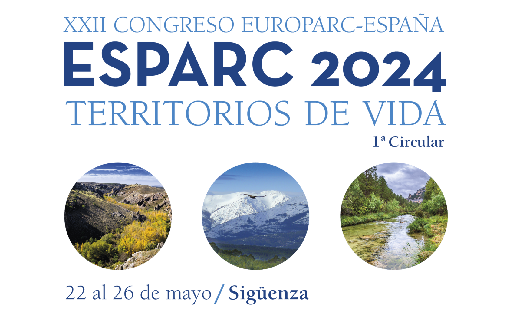 Sigüenza acoge del 22 al 26 de mayo el XXII Congreso ESPARC 2024 de ...